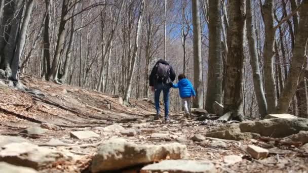 Οικογένεια Πόδια Μέσα Από Δάσος Μια Ηλιόλουστη Μέρα Επαφή Φύση — Αρχείο Βίντεο