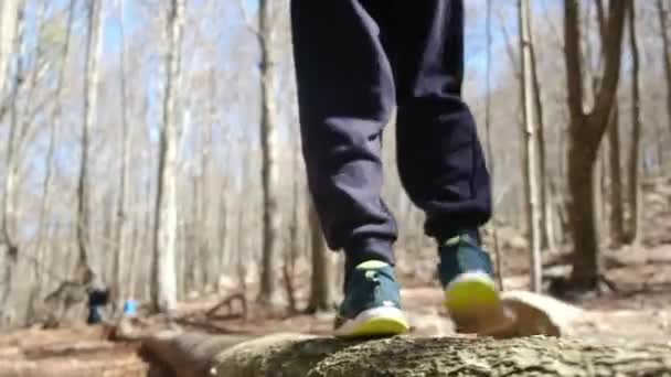 Aile Güneşli Bir Günde Ormanda Yürürken Doğa Ile Temas Sağlık — Stok video