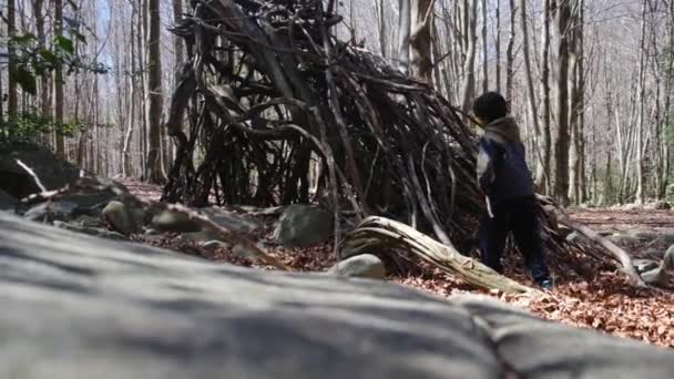 Keluarga Berjalan Melalui Hutan Pada Hari Yang Cerah Kontak Dengan — Stok Video