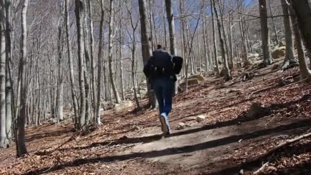Kvinna Vandring Och Backpacking Berget För Naturfrihet Landsbygd Vandring Äventyr — Stockvideo