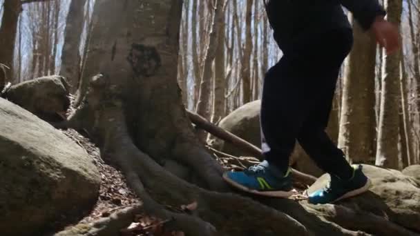 Aile Güneşli Bir Günde Ormanda Yürürken Doğa Ile Temas Sağlık — Stok video
