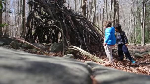 Rodzina Spacerująca Lesie Słoneczny Dzień Kontakt Naturą Dobre Samopoczucie — Wideo stockowe