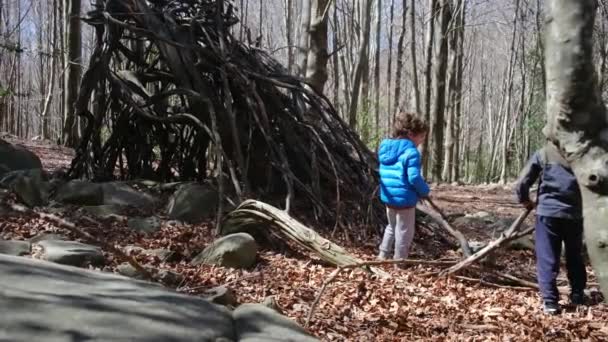 Famille Marchant Dans Forêt Par Une Journée Ensoleillée Contact Avec — Video