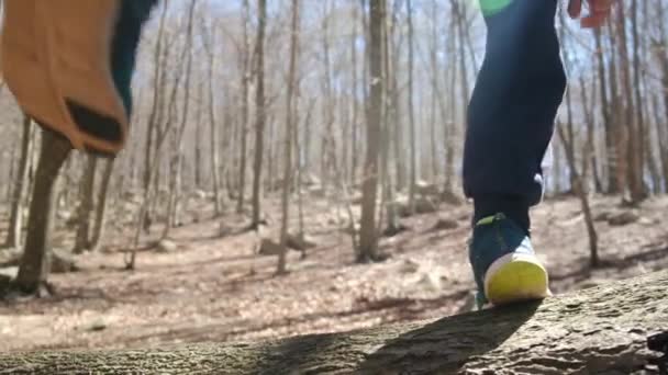 Criança Explora Passeios Pela Floresta — Vídeo de Stock