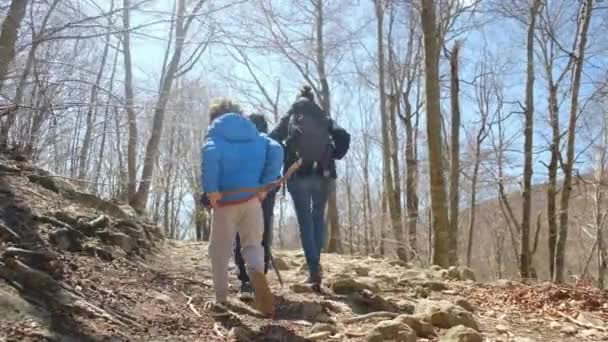 Familia Caminando Por Bosque Día Soleado Contacto Con Naturaleza Bienestar — Vídeo de stock