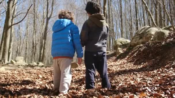 Rodzina Spacerująca Lesie Słoneczny Dzień Kontakt Naturą Dobre Samopoczucie — Wideo stockowe