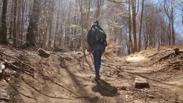 为了大自然的自由在山上徒步旅行和背包旅行 农村徒步旅行和可持续的旅行 山区女旅行者独自在户外散步 享受健康假期 — 图库视频影像
