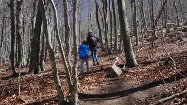 Família Caminhando Pela Floresta Dia Ensolarado Contato Com Natureza Bem — Vídeo de Stock