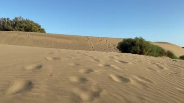 manzara ölüm vadisi milli parkı Mojave kum tepeleri çöl manzarası sert yüksek sıcaklık kavramı iklim değişikliği küresel ısınma aşırı ısı kuraklığı