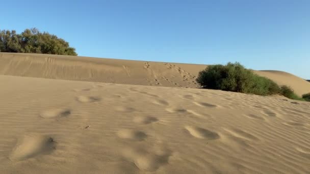 Ландшафтная Долина Смерти Национальный Парк Мохаве Песчаные Дюны Пустыни Ландшафт — стоковое видео