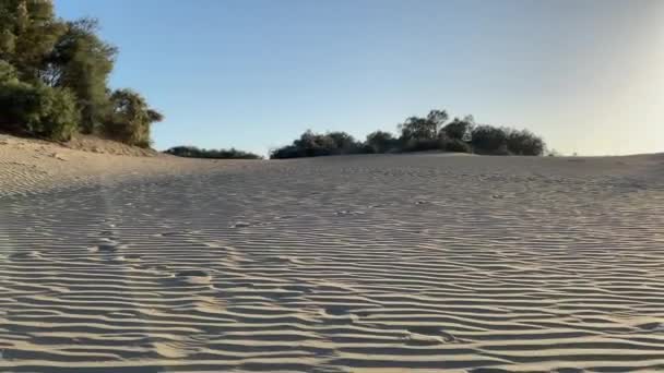 Ландшафтная Долина Смерти Национальный Парк Мохаве Песчаные Дюны Пустыни Ландшафт — стоковое видео