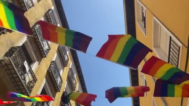 Stolthet Banner Flagga Regnbåge Blåser Vind Monterad Byggnader — Stockvideo
