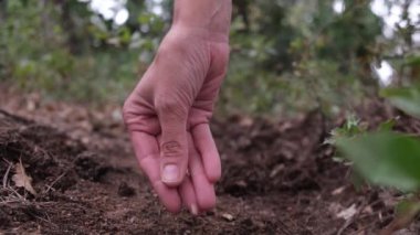 Çiftçiler bahçeye tohum ekerler..