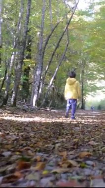 Ormanda koşan bir çocuğun arka görüntüsü 