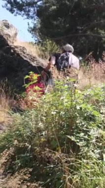 Genç yürüyüş meraklılarıyla güneşli mevsimlerin tadını çıkarın. Oğullarıyla dağlarda yürüyüş yapan bir kadın. 