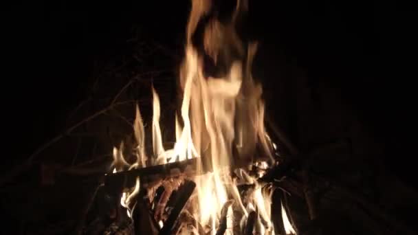 Evde Şöminedeki Ateş Noel Kutluyor Gözlem Alevleri Yavaş Çekim — Stok video