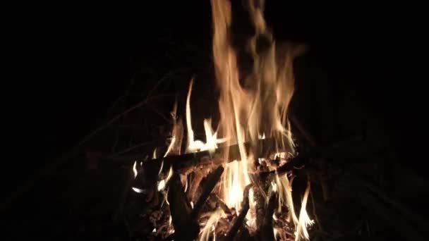 Feuer Kamin Bei Heimatfeier Weihnachtsfeier Lodert Zeitlupe — Stockvideo