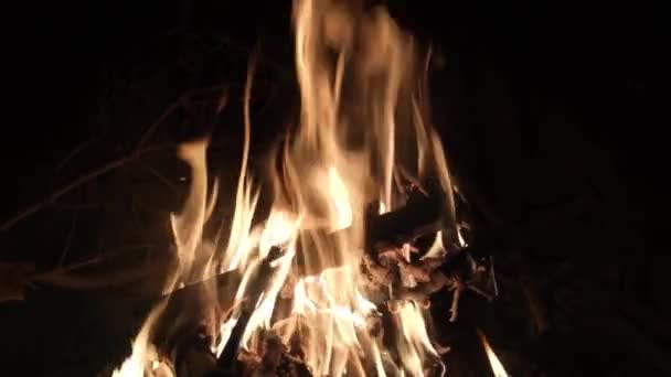 Feuer Kamin Bei Heimatfeier Weihnachtsfeier Lodert Zeitlupe — Stockvideo