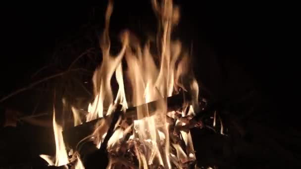 Пожар Камине Время Празднования Рождества Самоанализ Пламя Замедленной Съемки — стоковое видео