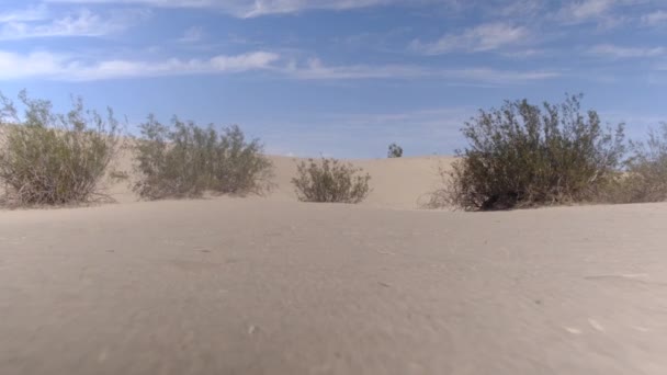 Dune Sabbia Nel Deserto — Video Stock