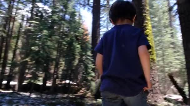 Barn Utforskar Promenader Genom Skogen Yosemite Nationalpark Kalifornien Redwoods Mellan — Stockvideo