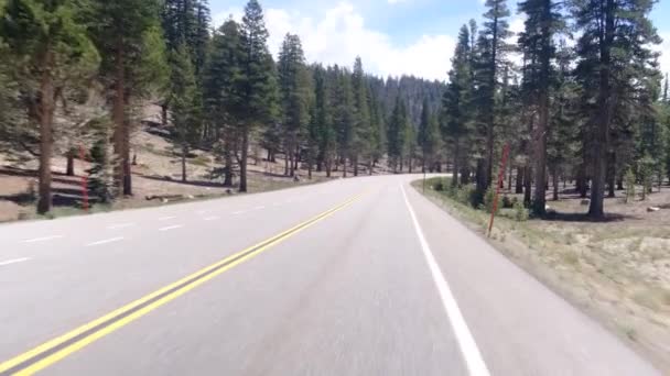 Point View Empty Road Usa National Park — Stock Video
