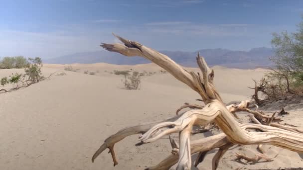 Paisaje Del Valle Muerte Parque Nacional Mojave Con Dunas Arena — Vídeo de stock