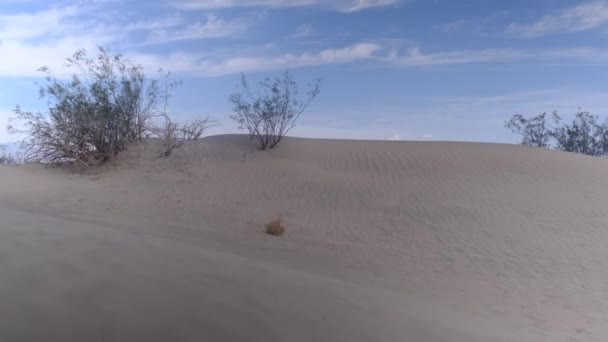 Krajina Údolí Smrti Národním Parku Mojave Písečnými Dunami — Stock video