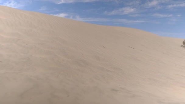 Landskap Död Dal Nationalparken Mojave Med Sanddyner — Stockvideo