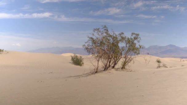 Τοπίο Της Κοιλάδας Του Θανάτου Στο Εθνικό Πάρκο Mojave Αμμόλοφους — Αρχείο Βίντεο