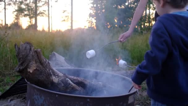 Jungen Mit Marshmallows Flammen Sommerlager — Stockvideo