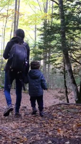Familie Wandert Durch Die Berge Umarmt Die Freiheit Der Freien — Stockvideo