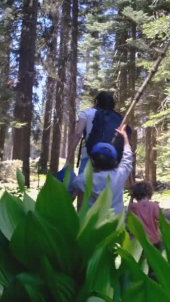 하이킹 애호가와 화창한 계절을 있습니다 산에서 하이킹 그녀의 아들과 — 비디오