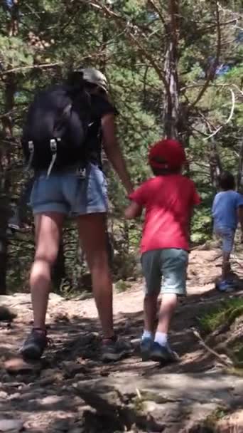 Užijte Slunné Roční Období Mladistvými Turistickými Nadšenci Žena Svými Syny — Stock video