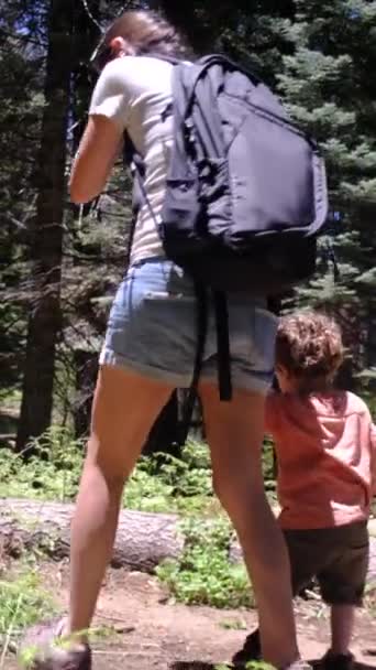숲에서 아들과 하이킹 — 비디오
