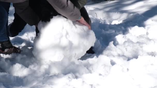Ευτυχισμένα Παιδιά Που Παίζουν Στο Χιόνι Και Φτιάχνουν Χιονάνθρωπο — Αρχείο Βίντεο
