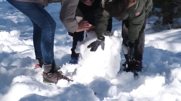 Gelukkige Kinderen Spelen Sneeuw Maken Sneeuwpop — Stockvideo