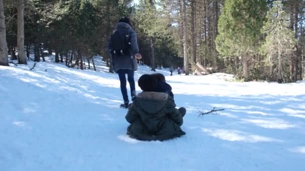 Kobieta Ciepłych Zimowych Ubraniach Działa Ciągnąc Szczęśliwe Dzieci Sankach — Wideo stockowe