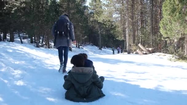 Donna Caldi Vestiti Invernali Esecuzione Tirando Bambini Felici Sulla Slitta — Video Stock