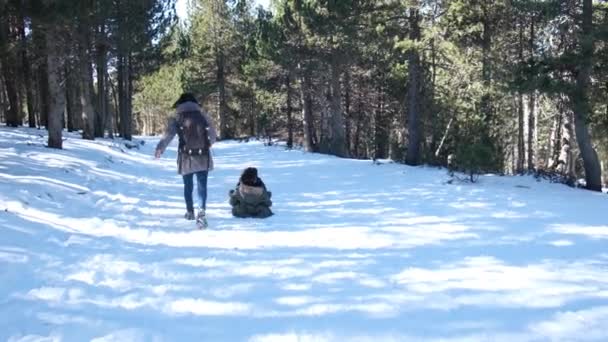 Kobieta Ciepłych Zimowych Ubraniach Działa Ciągnąc Szczęśliwe Dzieci Sankach — Wideo stockowe
