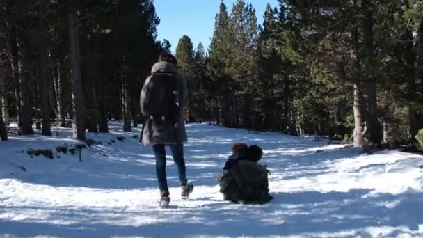 Sıcak Kışlık Elbiseli Bir Kadın Koşuyor Mutlu Çocukları Kızakla Çekiyor — Stok video