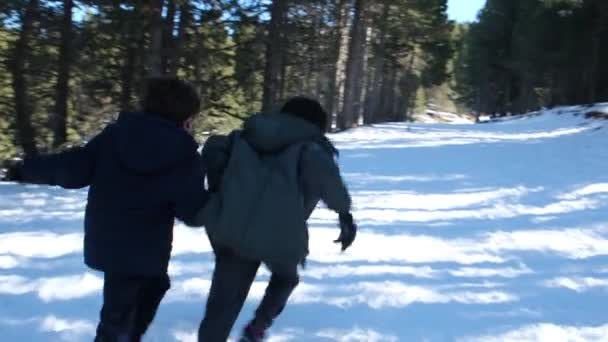 Mulher Roupas Quentes Inverno Com Crianças Felizes Nas Montanhas — Vídeo de Stock