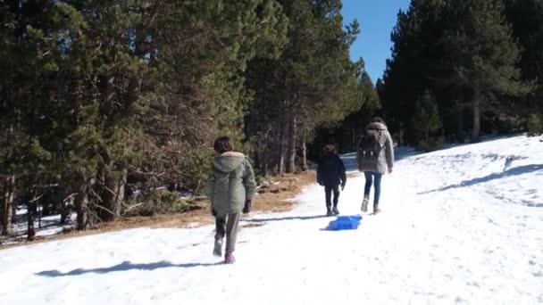 Kobieta Ciepłych Zimowych Ubraniach Szczęśliwymi Dziećmi Górach — Wideo stockowe