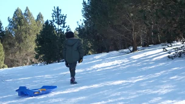 Sıcak Kış Kıyafetleri Içinde Bir Kadın Mutlu Çocuklar Dağlarda — Stok video