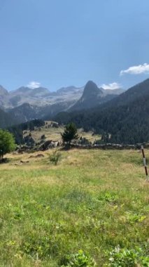 Dağ vadisinin manzarası 