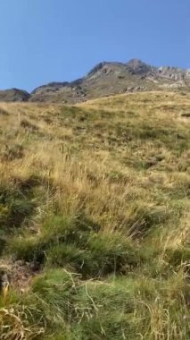 Dağ manzarasının güzel bir görüntüsü. 