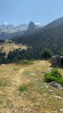 Dağ manzarasının güzel bir görüntüsü. 