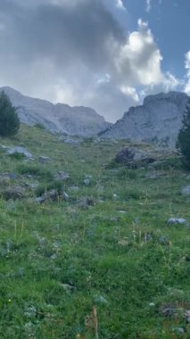 Dağ manzarasının güzel bir görüntüsü. 