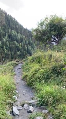 Dağlardaki güzel yol manzarası