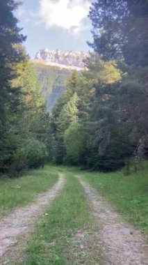 Dağlardaki güzel yol manzarası